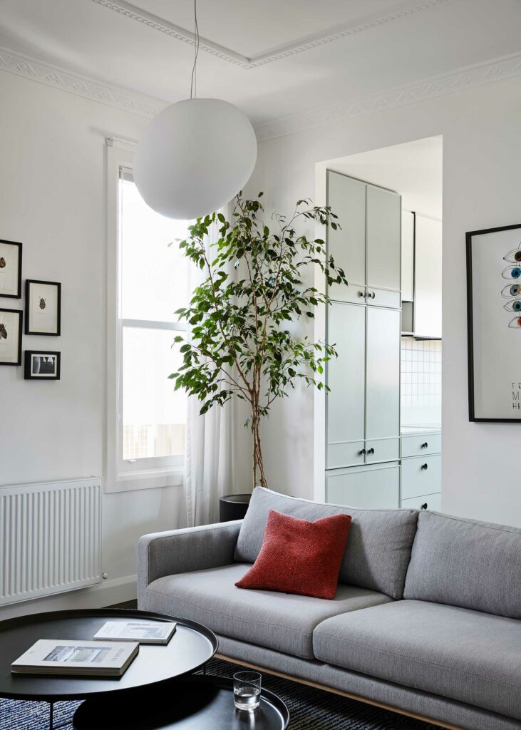 Maike Design lounge and kitchen. Grey couch and timber floors. Indoor tree and pendant light.