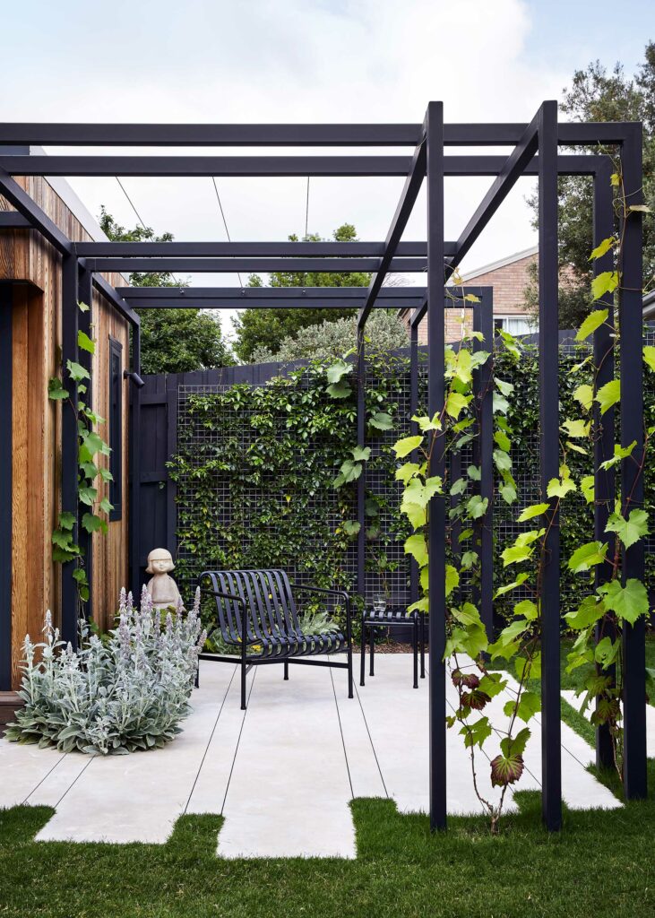 Maike Design backyard. Black painted pergola and grape vines. Concrete seating area with planted wall of vines