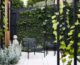Maike Design backyard. Black painted pergola and grape vines. Concrete seating area with planted wall of vines